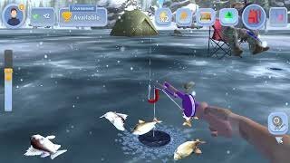 Image: Experience the Thrill of Ice Fishing with UK's Top Live Casino Offerings